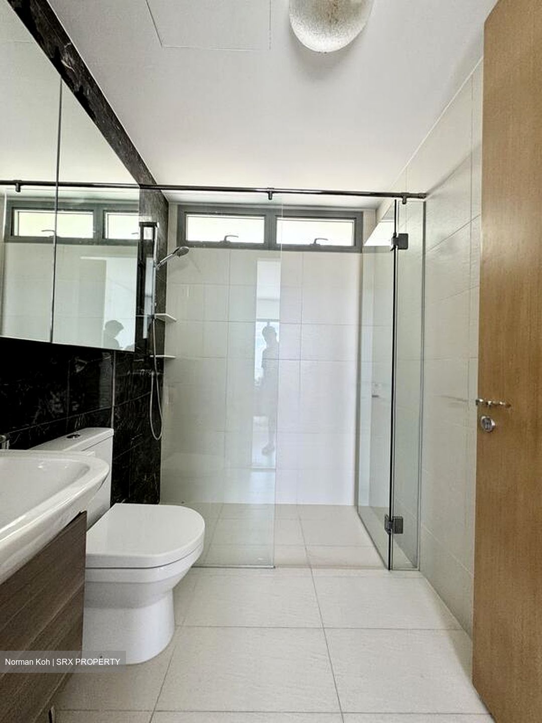 Skies Miltonia (D27), Condominium #495595411